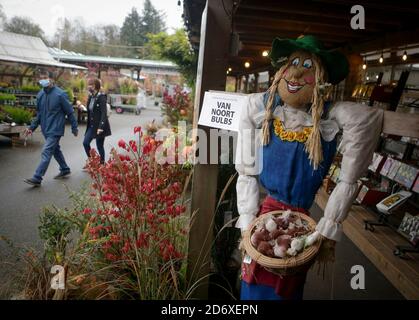 Langley, Canada. 19 Ott 2020. Uno spaventapasseri viene visualizzato durante l'annuale Scarecrow Festival, in vista di Halloween a Langley, British Columbia, Canada, il 19 ottobre 2020. Credit: Liang Sen/Xinhua/Alamy Live News Foto Stock