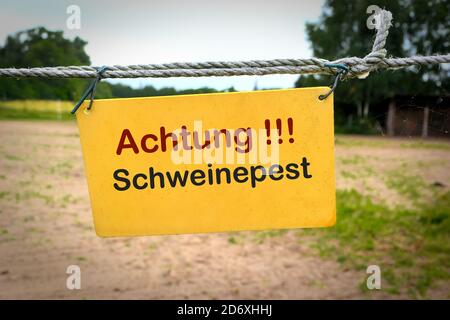 Segno con l'iscrizione 'Achtung Schweinepiest' (attenzione peste suina africana) Su una recinzione ad una fattoria in Germania Foto Stock