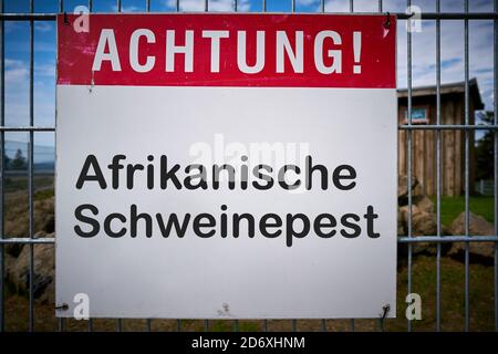 Segno con l'iscrizione 'Achtung Afrikanische Schweinepest' (Attenzione peste suina africana) Su una recinzione ad una fattoria in Germania Foto Stock