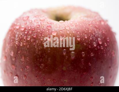 Rosso mela variegato e giallo con gocce d'acqua su sfondo bianco. Concetto di salute e freschezza Foto Stock