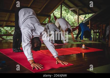 Amazon Jungle Yoga Retreat Foto Stock