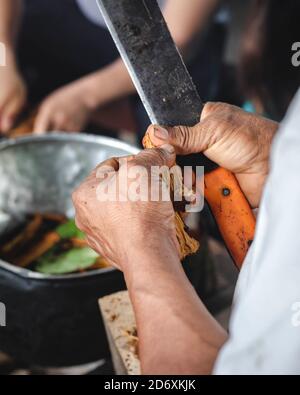 Preparazione di ayahuasca Foto Stock