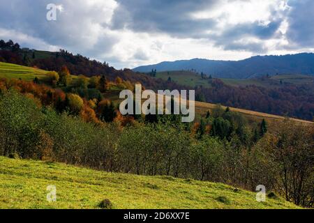 paesaggio montano in autunno. splendido paesaggio con colline boscose in colori autunnali. paesaggio rurale carpatico. giorno di sole con Foto Stock