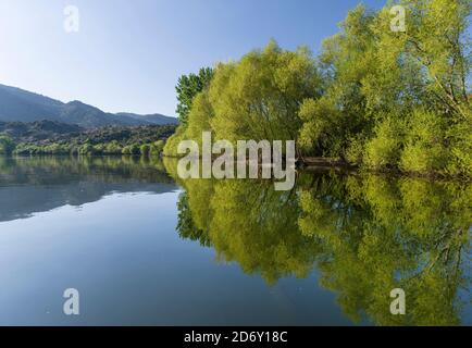 Fiume Douro vicino Foz do Sabor. La valle del fiume Douro. E' la zona vinicola Alto Douro, dichiarata Patrimonio Mondiale dell'UNESCO. Europa, Sud Foto Stock