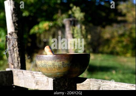 Ciotola tibetana in un ambiente naturale Foto Stock