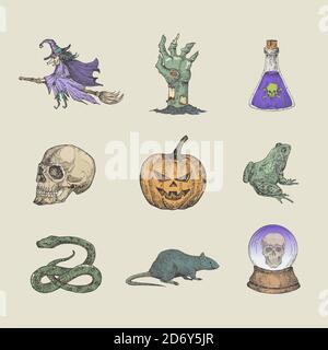 Collezione di illustrazioni Halloween in stile retrò. Strega disegnata a mano su scoma, braccio di zombie, scultura, sfera magica e rettili simboli di schizzo o insieme di icone Illustrazione Vettoriale