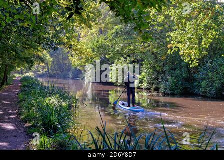 Un anziano uomo paddle boarding sul canale di navigazione del fiume Wey in una giornata autunnale, Byfleet Surrey England UK Foto Stock