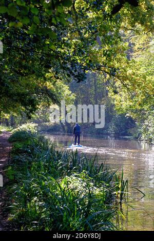 Un anziano uomo paddle boarding sul canale di navigazione del fiume Wey in una giornata autunnale, Byfleet Surrey England UK Foto Stock