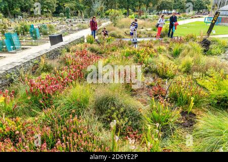 Francia, Loire Atlantique, Nantes, Jardin des Plantes de Nantes, Sarracenia, piante carnivore // Francia, Loire-Atlantique (44), Nantes, jardin des p Foto Stock