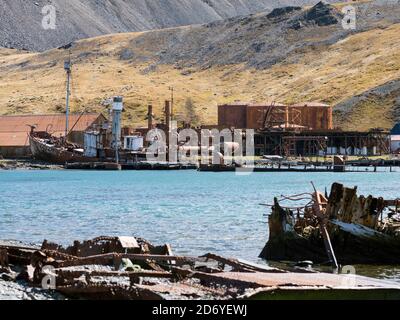 Stazione di balene di Grytviken nella Georgia del Sud. Grytviken è aperta ai visitatori, ma la maggior parte delle pareti e dei tetti della fabbrica sono stati demoliti per la sicurezza rea Foto Stock