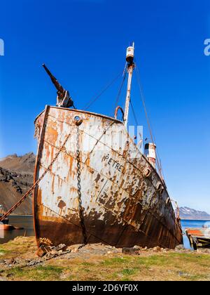 Il Petrel un catcher di balene. Stazione di balene di Grytviken nella Georgia del Sud. Grytviken è aperto ai visitatori, ma la maggior parte delle pareti e tetti della fabbrica lo sono Foto Stock