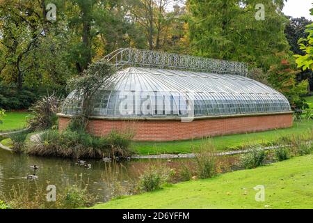 Francia, Loire Atlantique, Nantes, Jardin des Plantes de Nantes, Ile aux Palmiers Greenhouse // Francia, Loire-Atlantique (44), Nantes, jardin des Plant Foto Stock