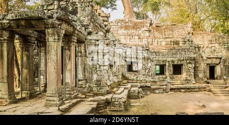 Pareti esterne di Ta Prohm, conosciuto come il tempio della giungla, parte del complesso Angkor Wat del XII secolo a Siem Reap, Cambogia. Foto Stock