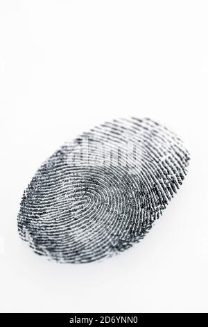 Impronta digitale su uno sfondo bianco. Foto Stock