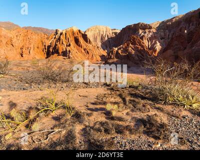 Quebrada de las Conchas anche chiamato Quebrada de Cafayate. Un canyon con colorate formazioni rocciose create da Rio de las Conchas. Sud America, Argent Foto Stock