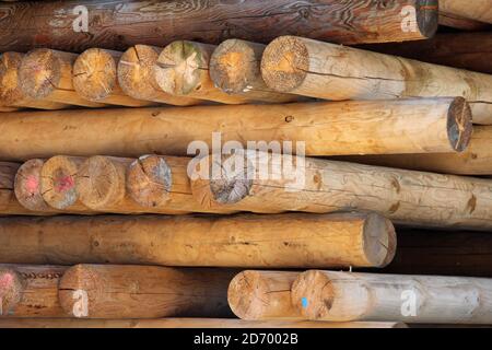 Primo piano di log impilati Foto Stock