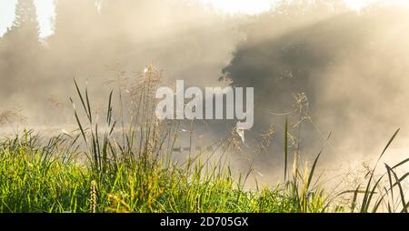 Paesaggio di campagna. Mattina foggy. Costa verde del fiume con erba. Sole che getta raggi di luce attraverso la nebbia. Raggi di luce solare vibranti in foschia. Foto Stock