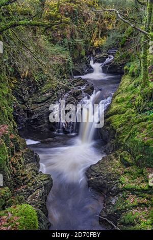 Cascate sul fiume (Afon) Cynfal vicino Llan FFestiniog Snowdonia National Park North Wales UK ottobre 2019 3215 Foto Stock