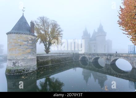 Francia, Loiret, Valle della Loira Patrimonio Mondiale dell'UNESCO, Sully sur Loire, Chateau de Sully sur Loire, XIV-XVIII secolo // Francia, Loiret (45) Foto Stock