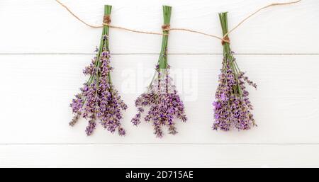 I bouquet freschi di fiori di lavanda sono essiccati su corda su sfondo bianco di legno. Flatlay fiore di erbe. Aromaterapia alla lavanda. Sfondo bianco Foto Stock