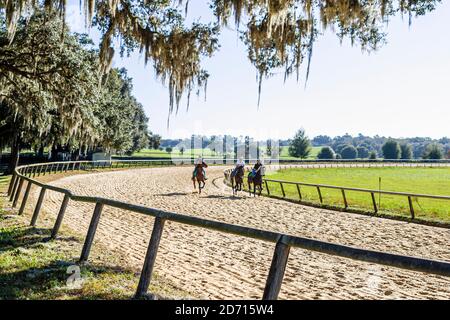 Florida Ocala Racehorse Stud stalla formazione yearling cavalli da corsa purosangue, jockey jockeys rider rider rider sterrato pista, Foto Stock