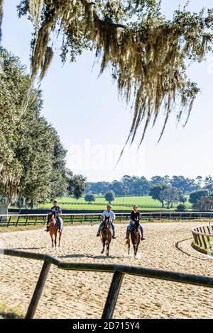 Florida Ocala Racehorse Stud stalla formazione yearling cavalli da corsa purosangue, jockey jockeys rider rider rider sterrato pista, Foto Stock