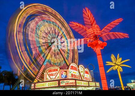 Miami Florida, Bayfront Park Downtown's Holiday Village, giro di carnevale della ruota panoramica a metà strada con palme artificiali, notte americana, Foto Stock