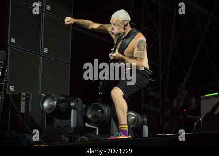 Pulci dei Red Hot Chili Peppers che si esibiscono all'Isle of Wight Festival, a Newport sull'Isola di Wight. Foto Stock