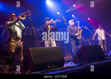 Fat Freddy's Drop che si esibisce al festival Womad, a Charlton Park, Wiltshire. Foto Stock