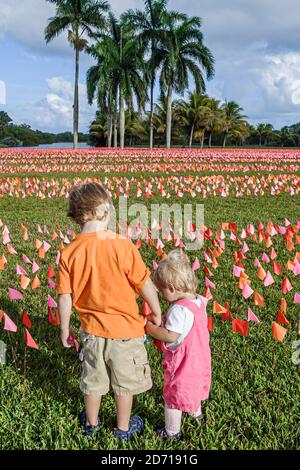 Miami Florida,Coral Gables Fairchild Tropical Garden,Flower Square ART installation Patricia Van Dalen Venezuela,le bandiere di marcatura in vinile rappresentano brushstr Foto Stock