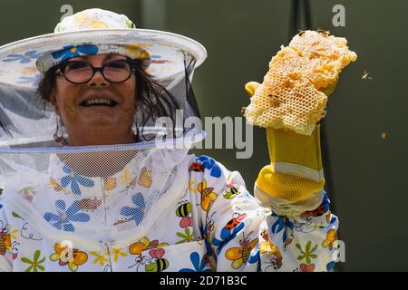 Donna apicoltore, sorriso e sicurezza in fattoria con tuta da apicoltura,  visione o felice in estate tempo di raccolta. Ape esperto, dpi vestiti o  felicità in eco Foto stock - Alamy