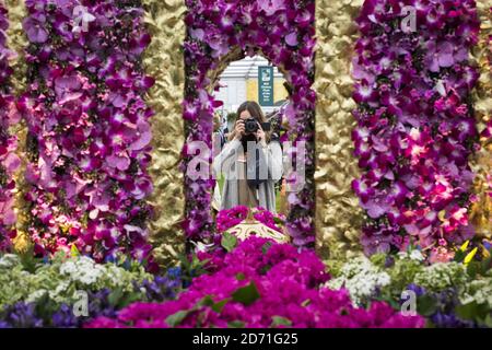 Atmosfera al RHS Chelsea Flower Show 2015, al Royal Hospital di Chelsea, Londra. Foto Stock