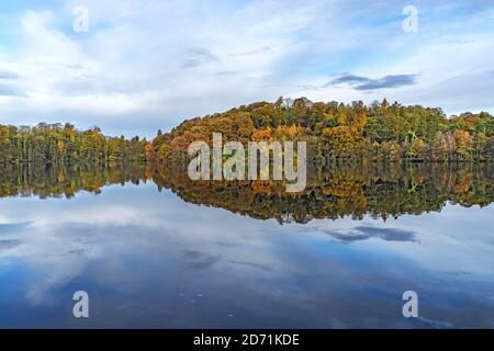 Vista del legno in autunno dall'alzaia sul Llangollen Canale attraverso Blakemere vicino Ellesmere in autunno Shropshire UK novembre 2019 6014 Foto Stock