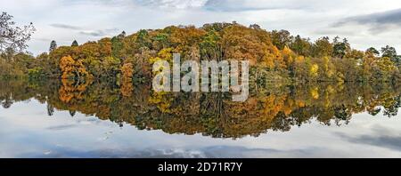 Vista del legno in autunno dall'alzaia sul Llangollen Canale attraverso Blakemere vicino Ellesmere in autunno Shropshire UK novembre 2019 600102 Foto Stock