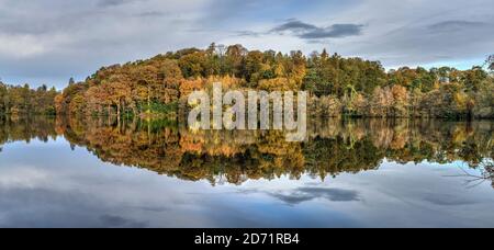 Vista del legno in autunno dall'alzaia sul Llangollen Canale attraverso Blakemere vicino Ellesmere in autunno Shropshire UK novembre 2019 601516 Foto Stock