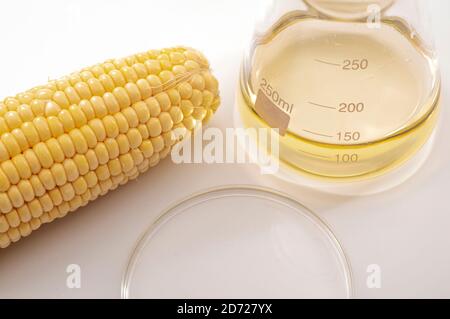 Etanolo come combustibile rinnovabile, alternativa verde sostenibile ai combustibili fossili e concetto di soluzione di biocarburante con mais, bicchiere di vetro e piastra di Petri isolati Foto Stock