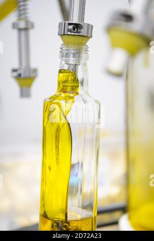 L'olio di colza viene imbottigliato a mano nella Waitrose Leckford Estate dell'Hampshire. Oltre 500 tonnellate di olio di colza di Leckford vengono prodotte ogni anno nell'azienda, ed è interamente coltivato, pressato e imbottigliato in loco. Data immagine: Giovedì 6 aprile 2017. Il credito fotografico dovrebbe essere: Matt Crossick/Empics Entertainment. La Leckford Estate è una fattoria attiva di 4000 acri, di proprietà e gestita da Waitrose, e produce per i loro negozi nel Regno Unito e per l'esportazione in 56 paesi. Foto Stock