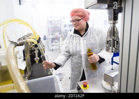 L'olio di colza viene imbottigliato a mano nella Waitrose Leckford Estate dell'Hampshire. Oltre 500 tonnellate di olio di colza di Leckford vengono prodotte ogni anno nell'azienda, ed è interamente coltivato, pressato e imbottigliato in loco. Data immagine: Giovedì 6 aprile 2017. Il credito fotografico dovrebbe essere: Matt Crossick/Empics Entertainment. La Leckford Estate è una fattoria attiva di 4000 acri, di proprietà e gestita da Waitrose, e produce per i loro negozi nel Regno Unito e per l'esportazione in 56 paesi. Foto Stock