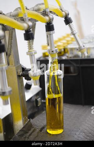 L'olio di colza viene imbottigliato a mano nella Waitrose Leckford Estate dell'Hampshire. Oltre 500 tonnellate di olio di colza di Leckford vengono prodotte ogni anno nell'azienda, ed è interamente coltivato, pressato e imbottigliato in loco. Data immagine: Giovedì 6 aprile 2017. Il credito fotografico dovrebbe essere: Matt Crossick/Empics Entertainment. La Leckford Estate è una fattoria attiva di 4000 acri, di proprietà e gestita da Waitrose, e produce per i loro negozi nel Regno Unito e per l'esportazione in 56 paesi. Foto Stock