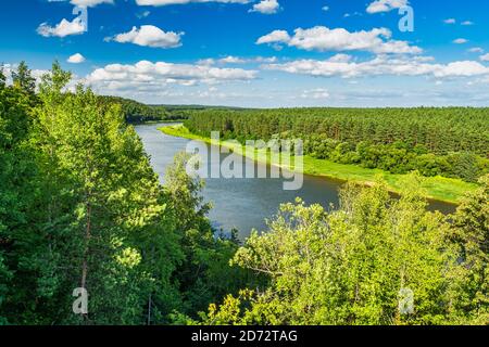 Incredibile paesaggio fluviale e forestale. Foresta con bella luce del sole Foto Stock