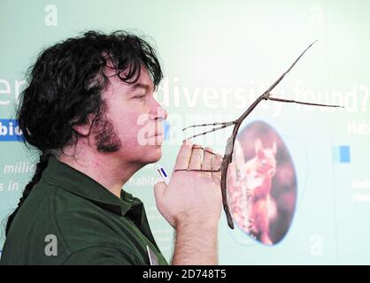 Il guardiano dello zoo Mark Tansley, raffigurato con un Thai Stick Insect, partecipa all'annuale borsa dello zoo di Londra nel Regent's Park nel centro di Londra. Foto Stock