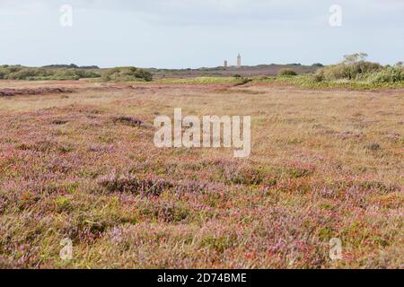 Küstenwanderweg die Heidelandschaft am Cap Frehel GR 34. Bretagne Frankreich Foto Stock