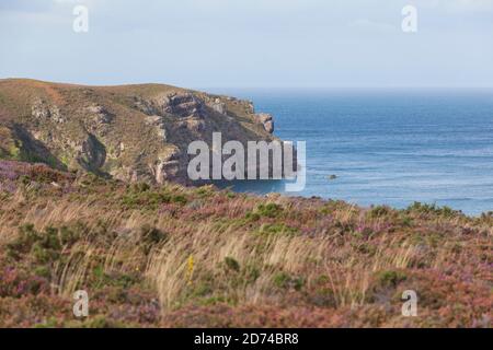 Küstenwanderweg die Heidelandschaft am Cap Frehel GR 34. Bretagne Frankreich Foto Stock