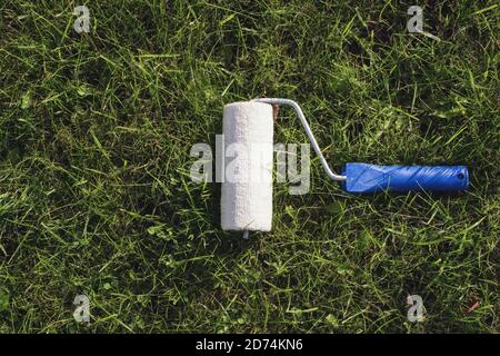 Rullo di vernice su erba vera. Concetto di ecologia verde Foto Stock