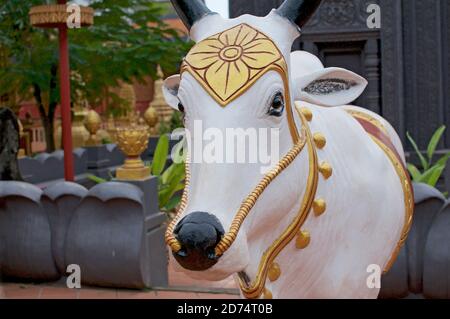 Statua di vacca bianca situata presso la bella Wat Preah Prom Rath a Siem Reap, Cambogia Foto Stock