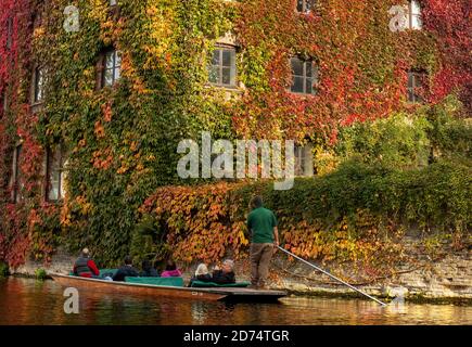 Cambridge Inghilterra Lunedi 19 ottobre 2020. Un pugno passa attraverso il colorato Creeper Virginia che cresce sul lato del St Johns College lungo il fiume Cam. Foto Stock