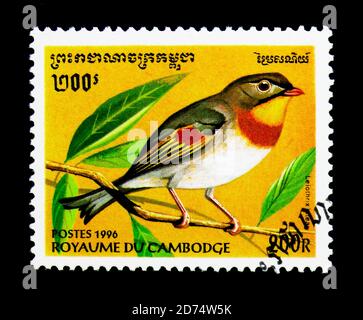 MOSCA, RUSSIA - 24 NOVEMBRE 2017: Un francobollo stampato in Cambogia mostra Leiothrix (Leiothrix lutea), serie di uccelli, circa 1996 Foto Stock