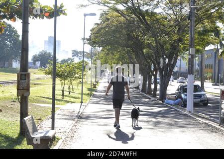 Giovane uomo cammina lungo il sentiero da jogging con un cane collie di confine al guinzaglio, in una città all'interno di San Paolo, in Brasile Foto Stock