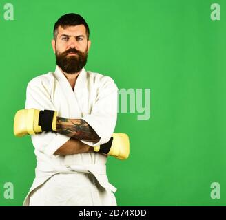 Il comandante del combattimento tiene le mani incrociate che lavorano fuori. Karate uomo con viso serio in uniforme e guanti dorati di boxe. Uomo con barba in kimono bianco su sfondo verde. Concetto di sport orientale. Foto Stock