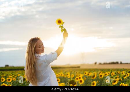 Giovane bella donna bionda in posa nel suo vestito designer in un campo di girasoli Foto Stock